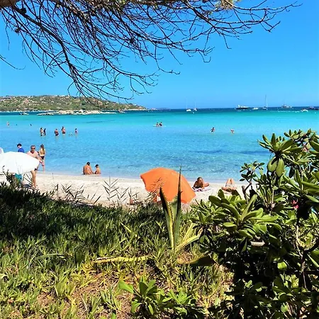 Coconing A 7min Des Plages - Piscine Chauffee - Clim - Bbq - Parking Privatif - Fibre * Porto-Vecchio (Corsica)